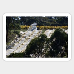 Vintage Nets Off - Magpie Springs - Adelaide Hills Wine Region - Fleurieu Peninsula - Winery Sticker